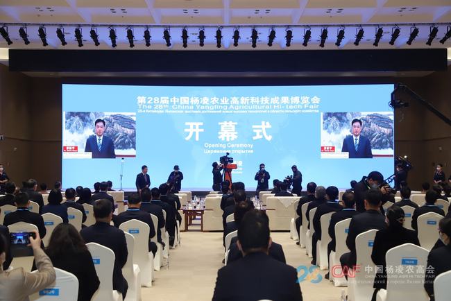 新华网聚焦农高会 | 第28届中国杨凌农业高新科技成果博览会开幕