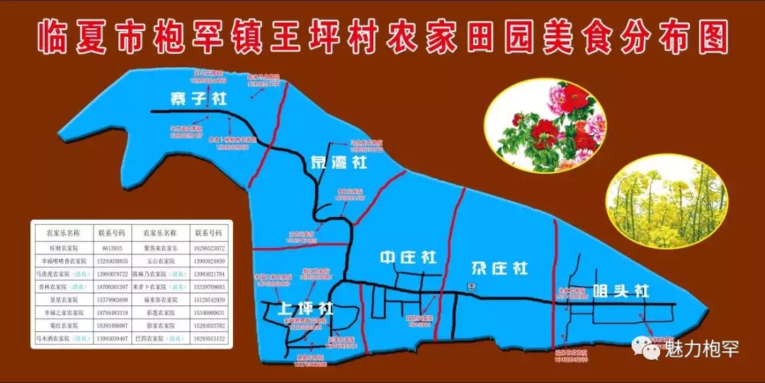 乡村旅游 | 枹罕镇金色农庄生态游:“赏花潮”带动“经济热”