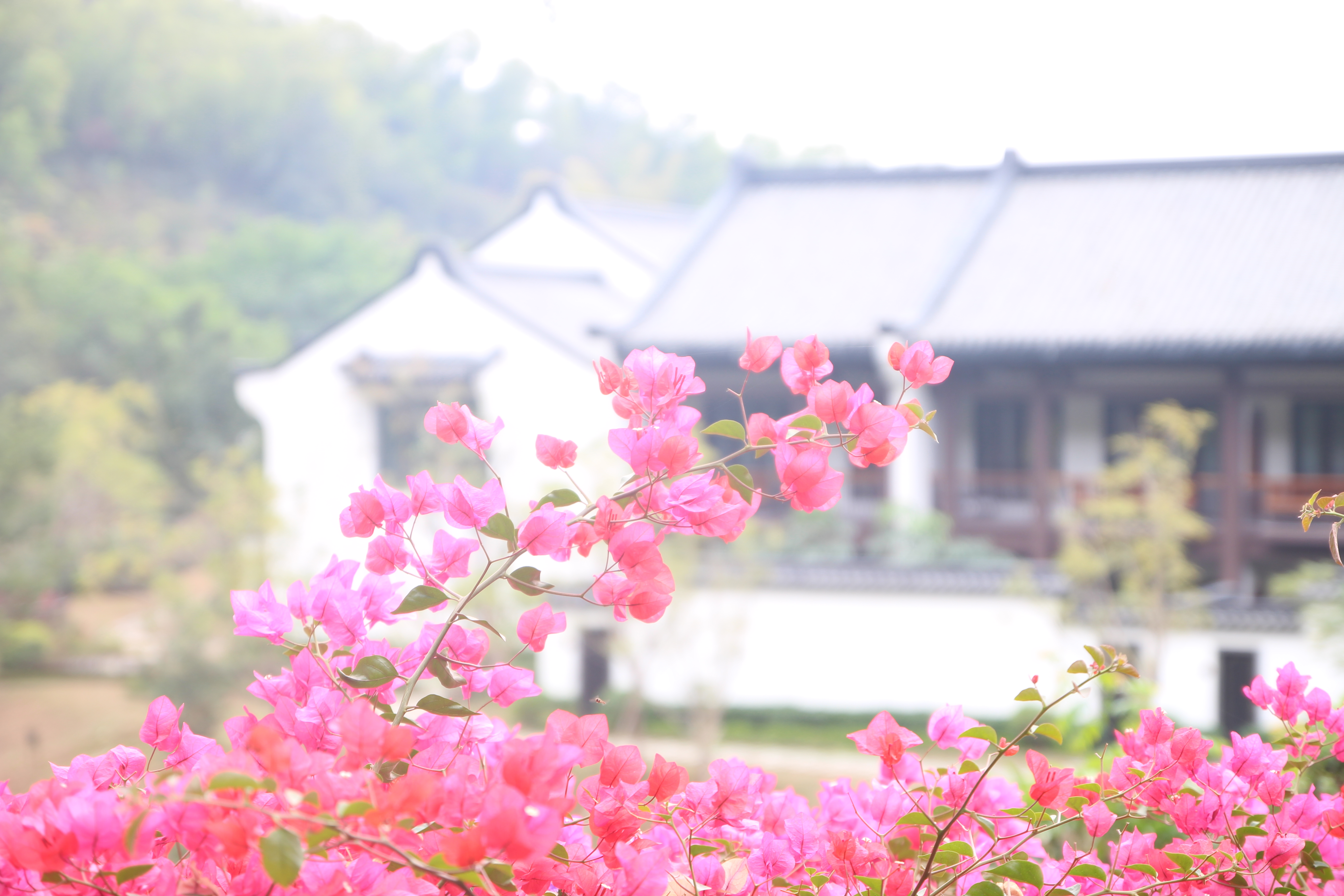 她眉如远山，眼若秋水，清秀中透着灵动，一笑如春风拂面。