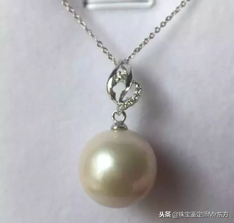 “禁欲系”白珍珠|澳洲南洋白珍珠,为什么被称为珍珠之王?