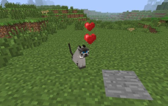 在minecraft中驯服豹猫 如何在我的世界中驯服豹猫 53知识网