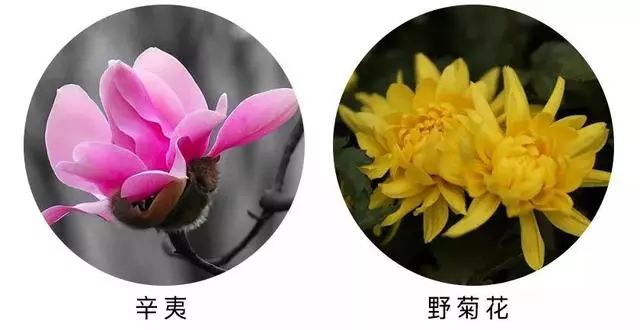 又打呼噜了？老博士教你一妙招，只需喷一下，就能安静睡到天亮