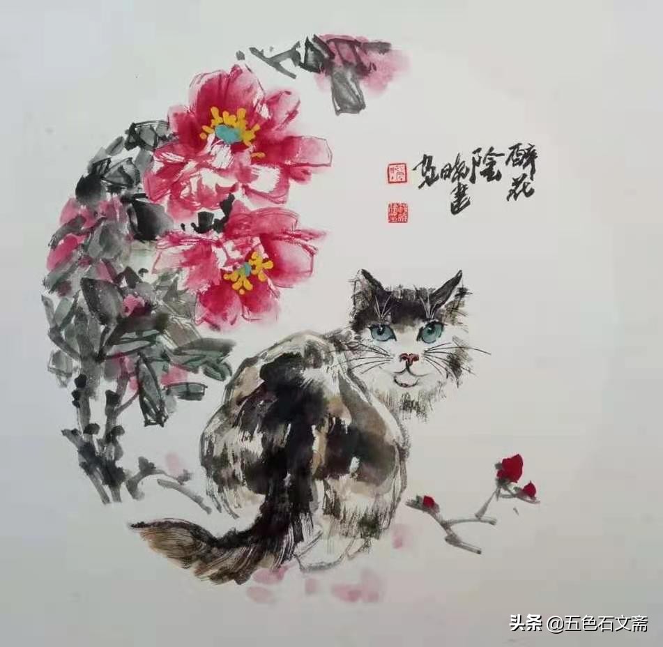 “骨感”人生：当瘦成一道闪电，连秋裤都成了冒险