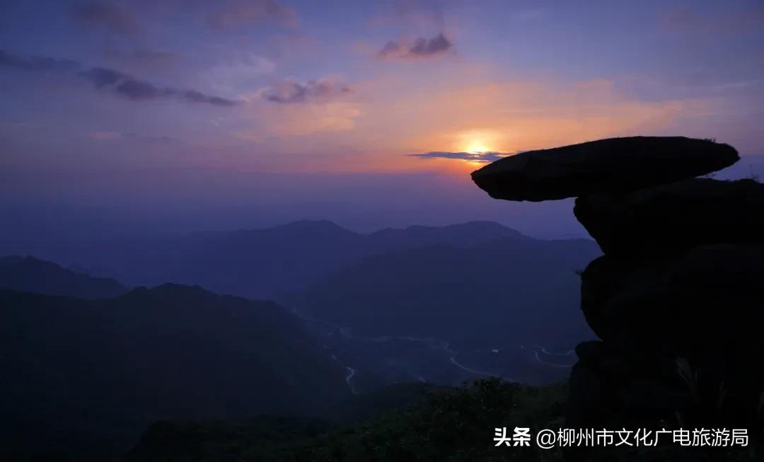 满山金色稻浪,为你换一屏秋色