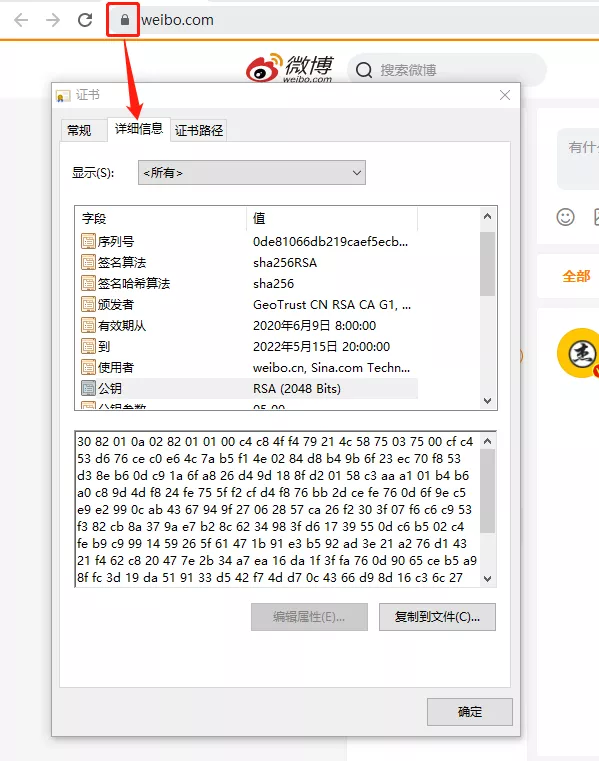 今天我抓了个 HTTPS 的包