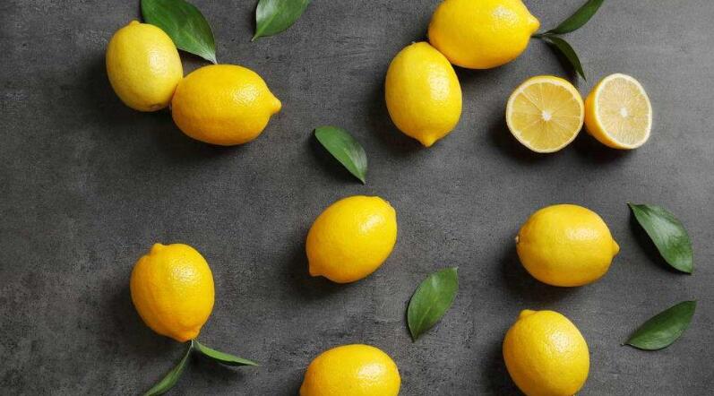 家里的跳蚤怕什么，最怕高温和阳光(大办法教你彻底消灭跳蚤)