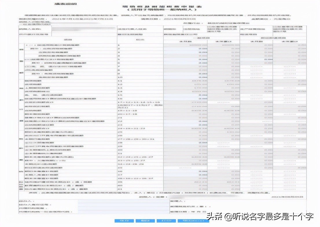 增值税及附加税费一般纳税人申报