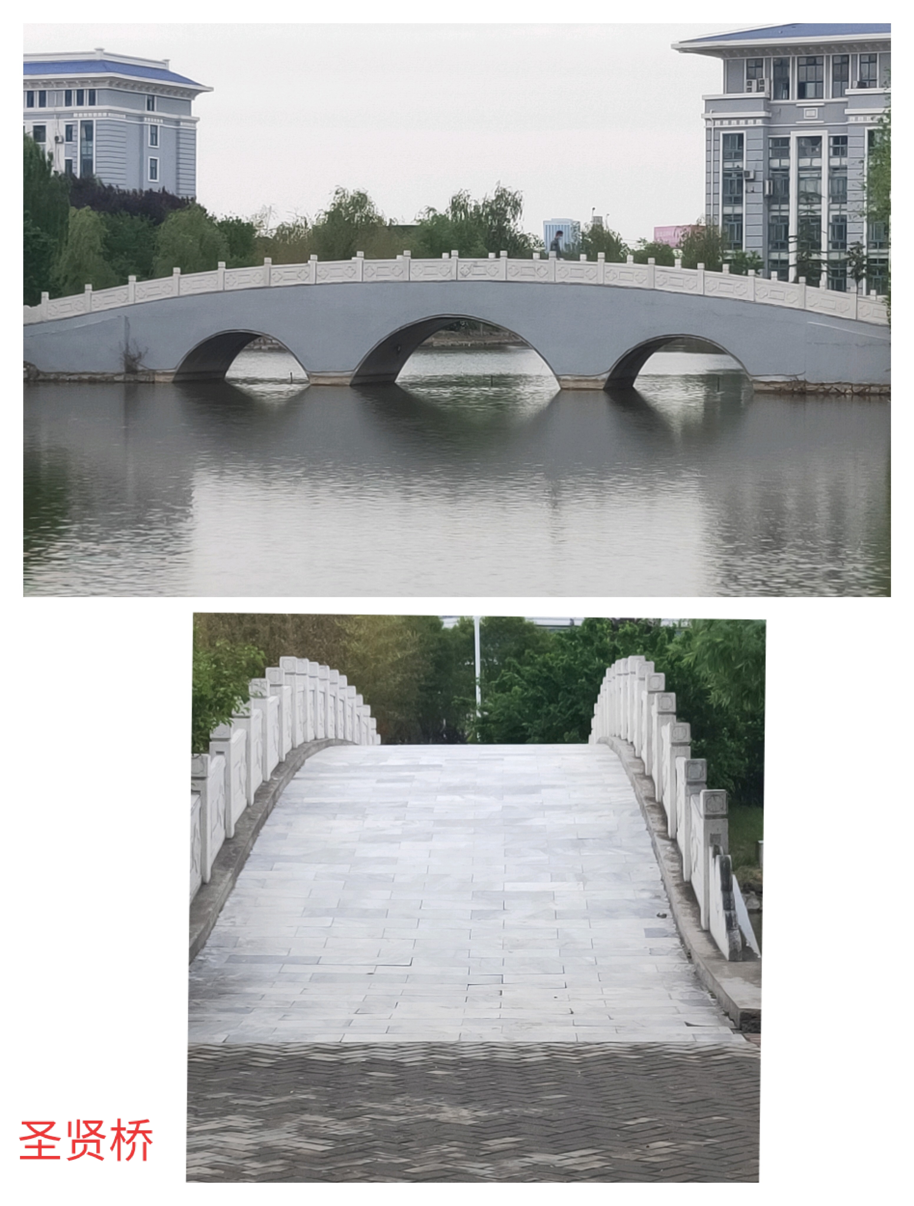 逛校园，赏美景！邀你一同观赏宿迁职业技术学院景点（下）