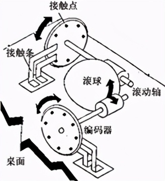 鼠标的构造图图片