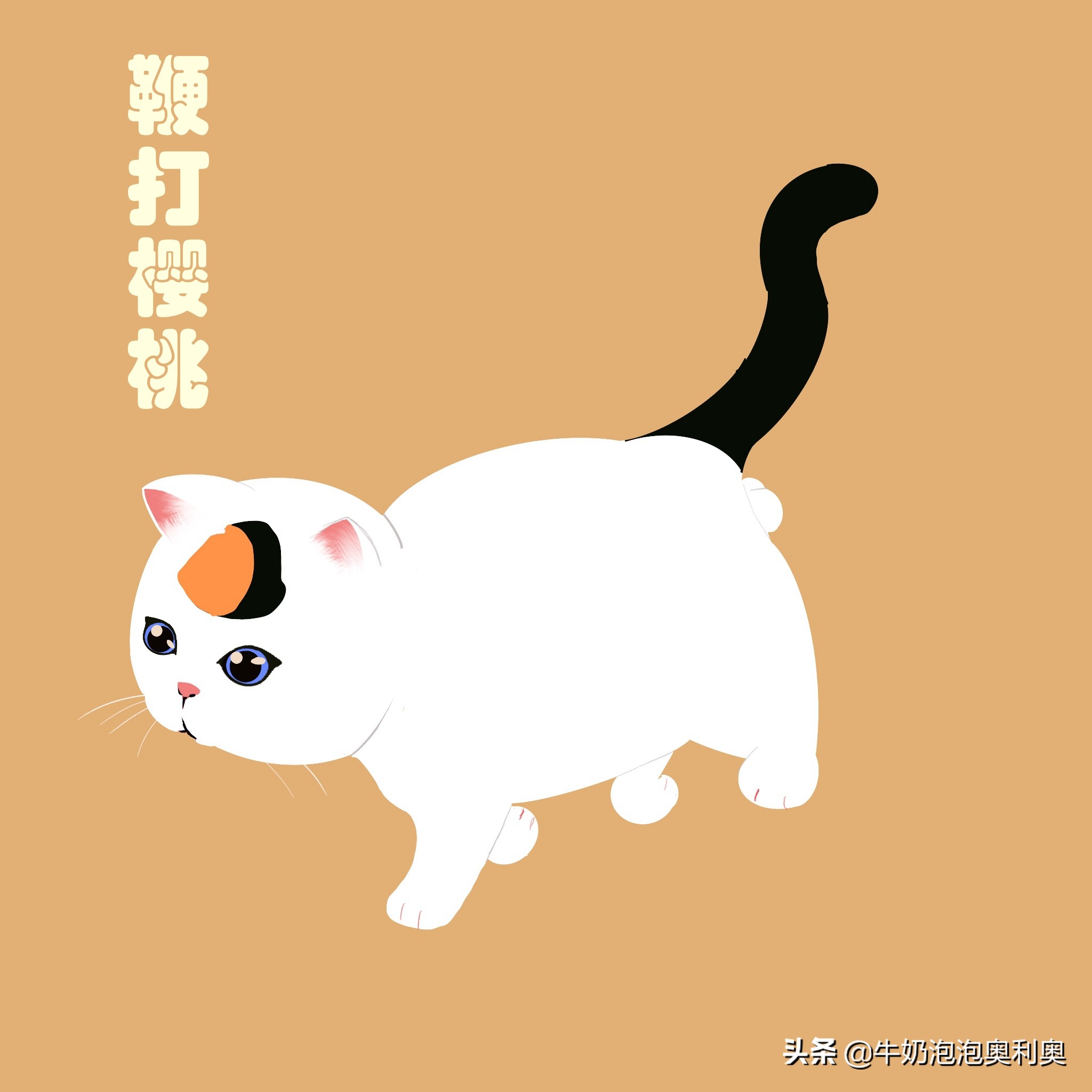 古代猫咪花色名称大全，中国风韵十足，你家逆子叫啥名？
