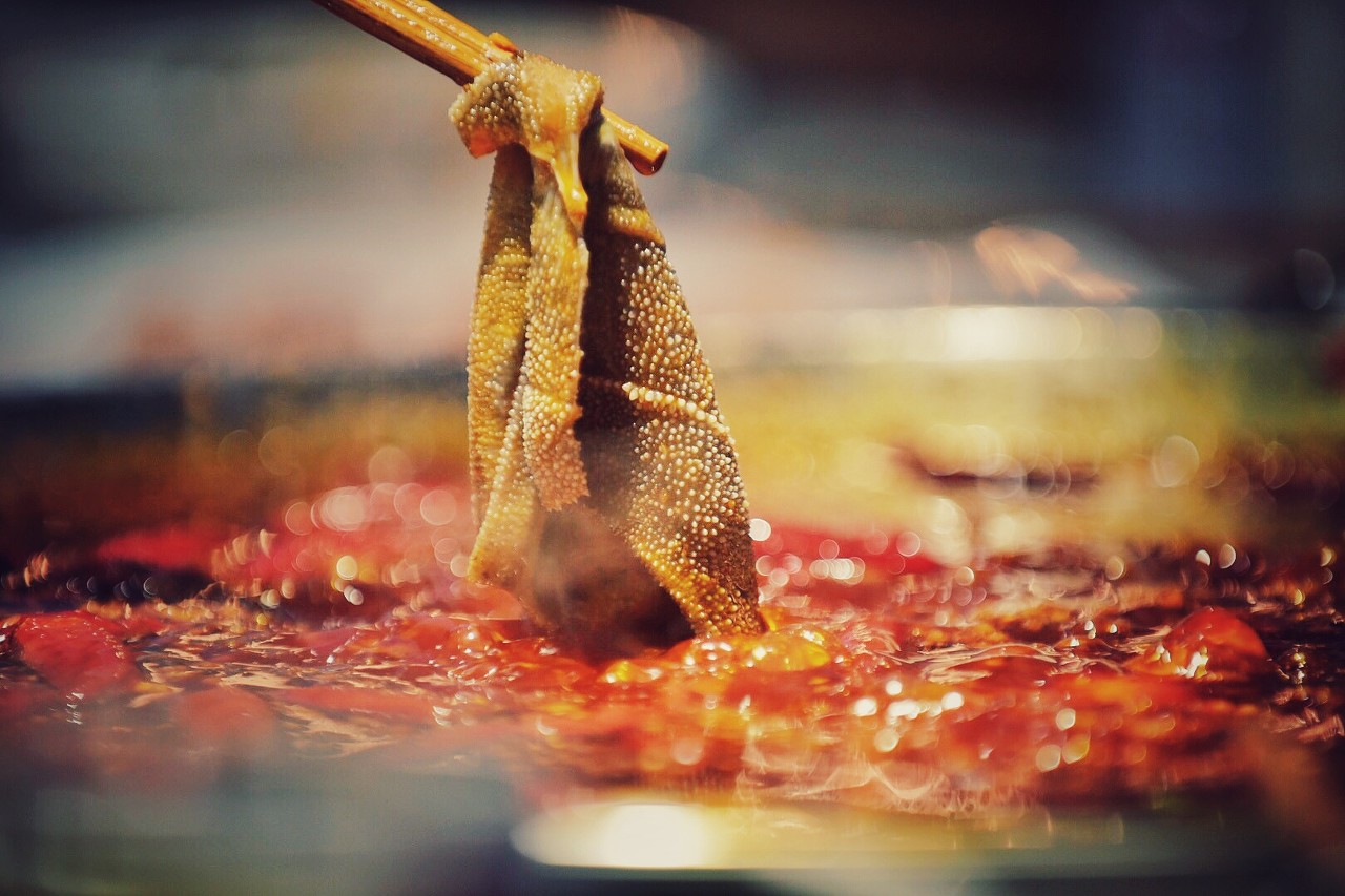 成都教育，上菜