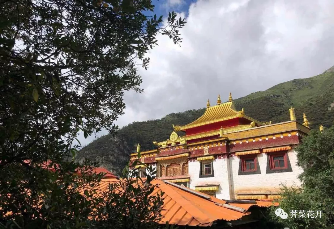 关于西藏之旅的美文
