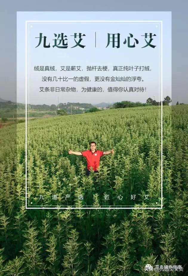 豁出去了，今天一定要捅破艾柱的这些秘密