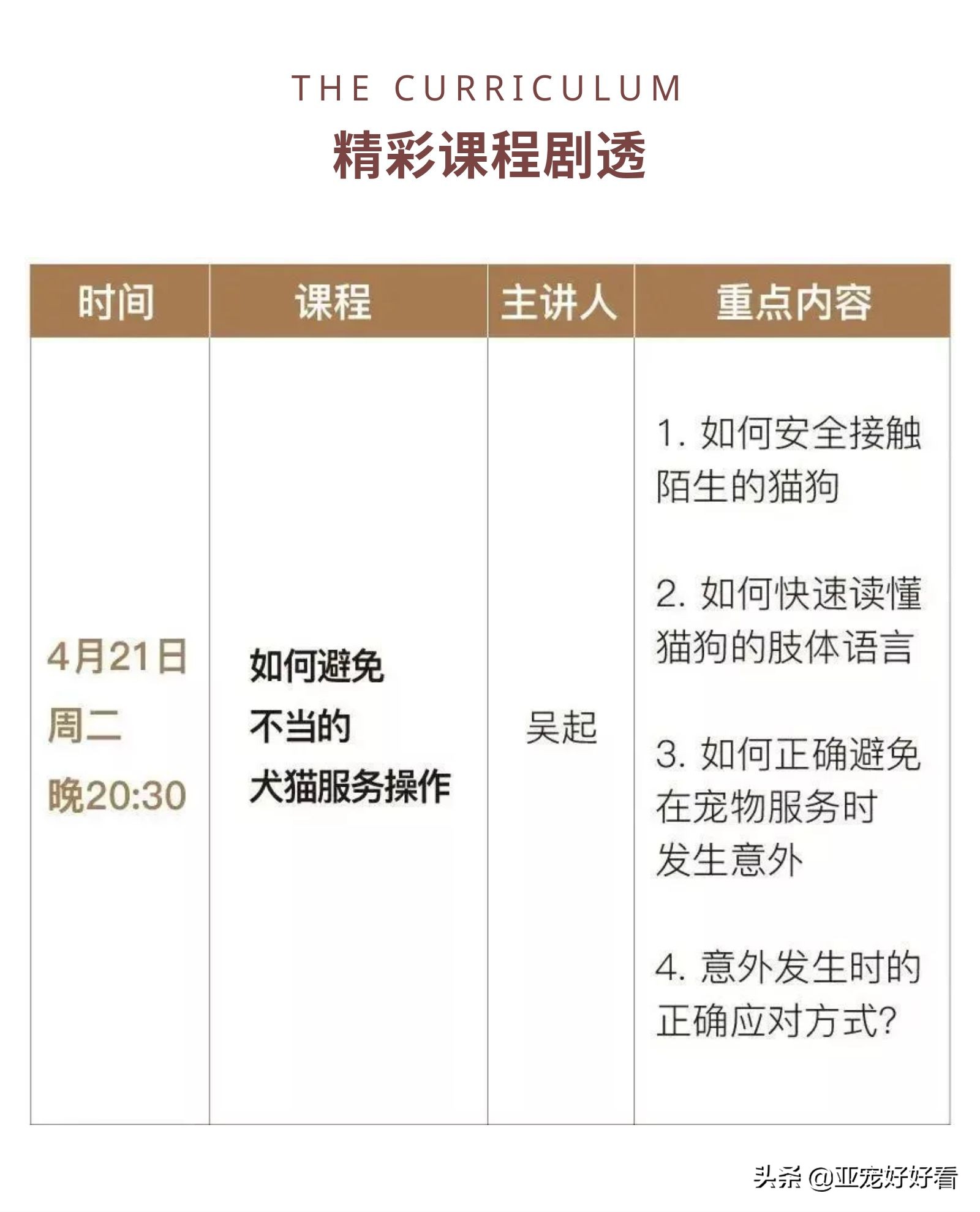 亚宠云课堂∣4月21日吴起支招宠物门店如何避免不当犬猫服务操作