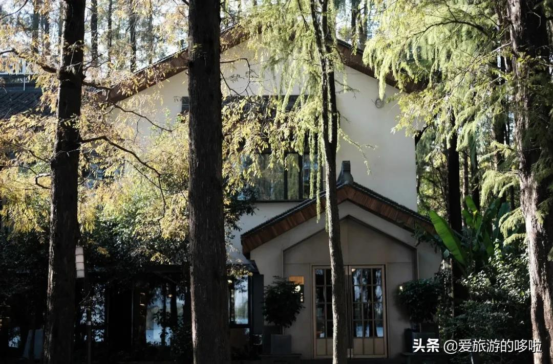6块钱,包船游西湖