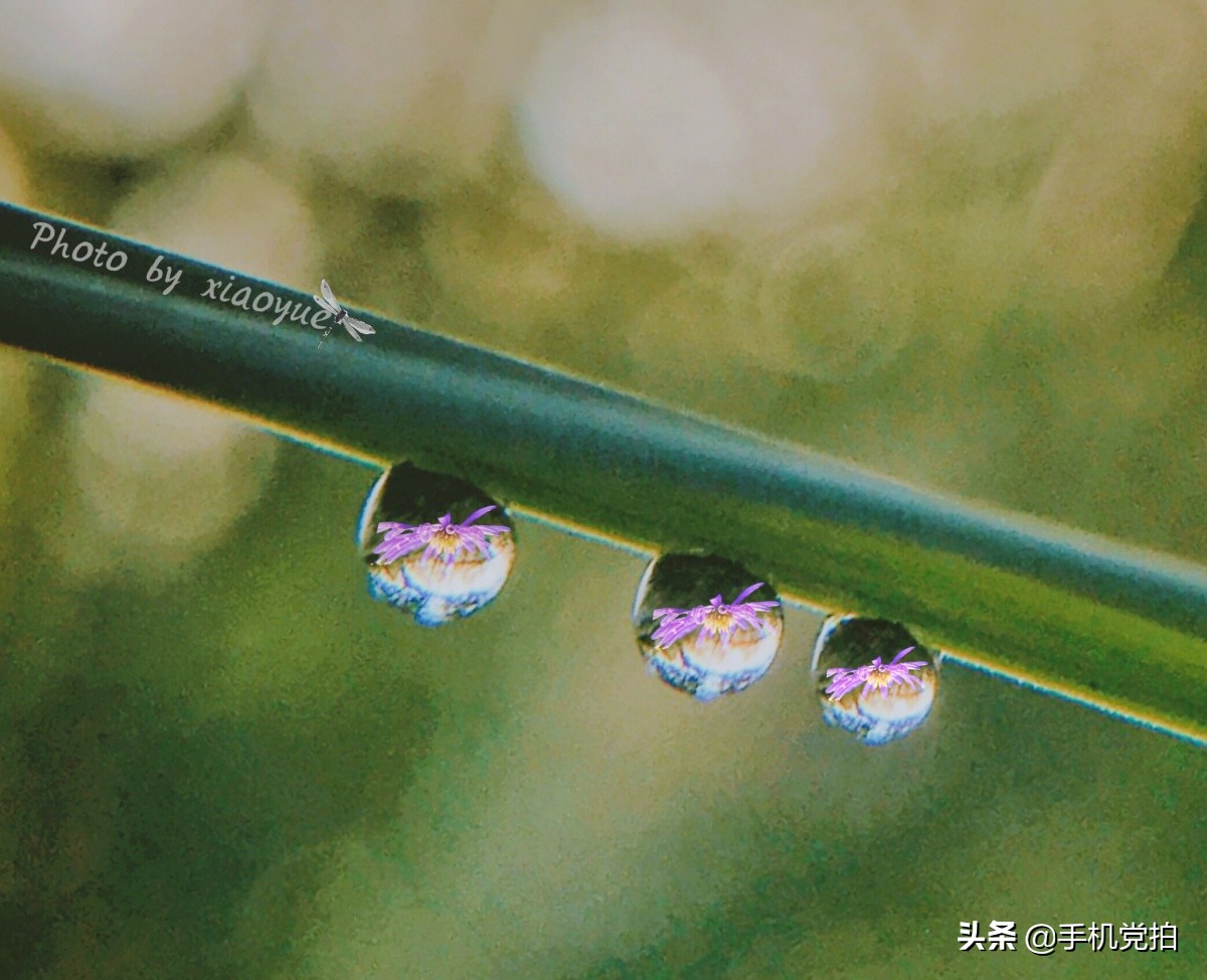 手机拍生活｜教你5招拍出有趣“镜像、折射”感觉