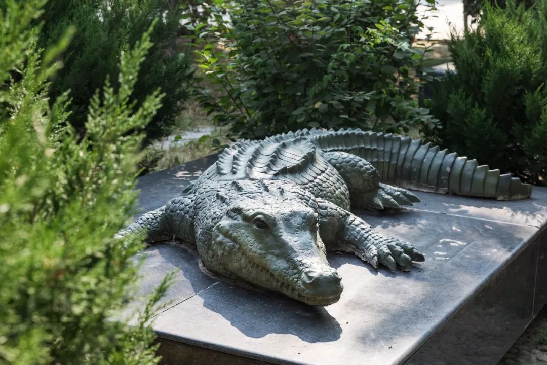 重回长安二中，解锁了一段青春