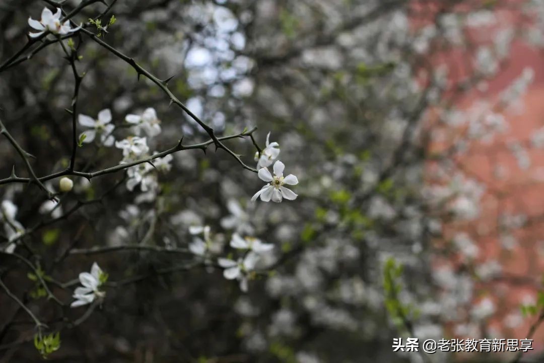 有一种聪明，叫自嘲