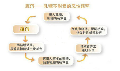 你知道吗？70%婴儿腹泻与乳糖不耐受有关，你却在给孩子傻傻吃药