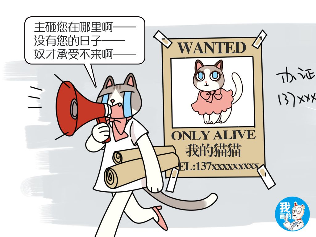 “剪刀大法寻猫”站得住脚吗？没有科学依据为何还如此“灵验”？