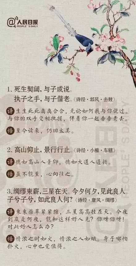 诗经经典佳句：读诗必备之选，领略古代诗歌之美