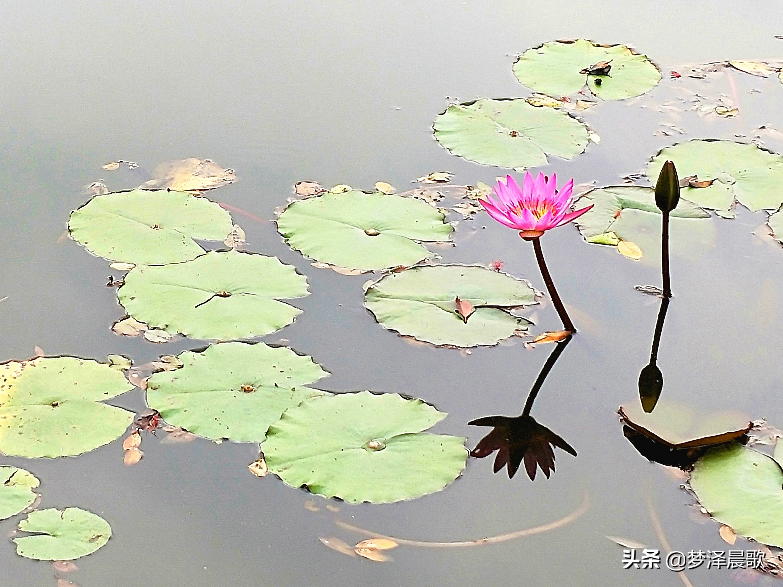 美丽校园“广州大学”