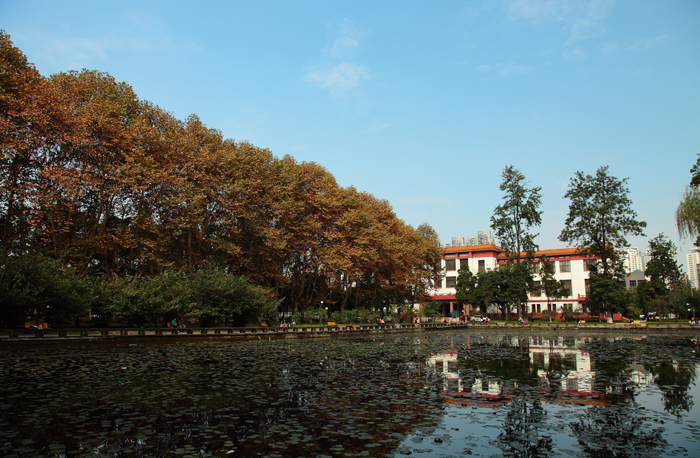 值得庆祝！607分喜提四川大学，四川2021提前批投档线火热出炉