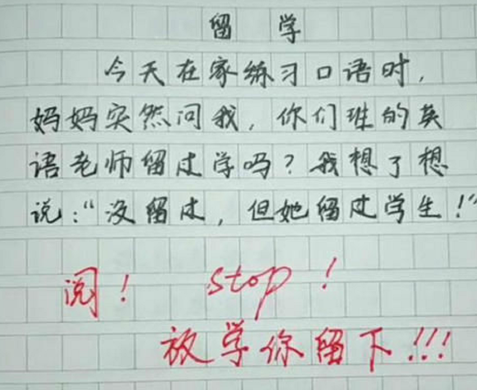 小学生作文《偏心》火了，父子学历神同步，一不小心揽下“罪名”