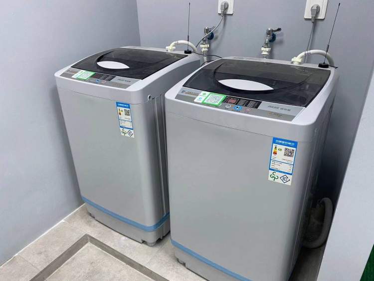 洗个澡3块钱！带狗子实探沪上首家24小时自助洗宠店→
