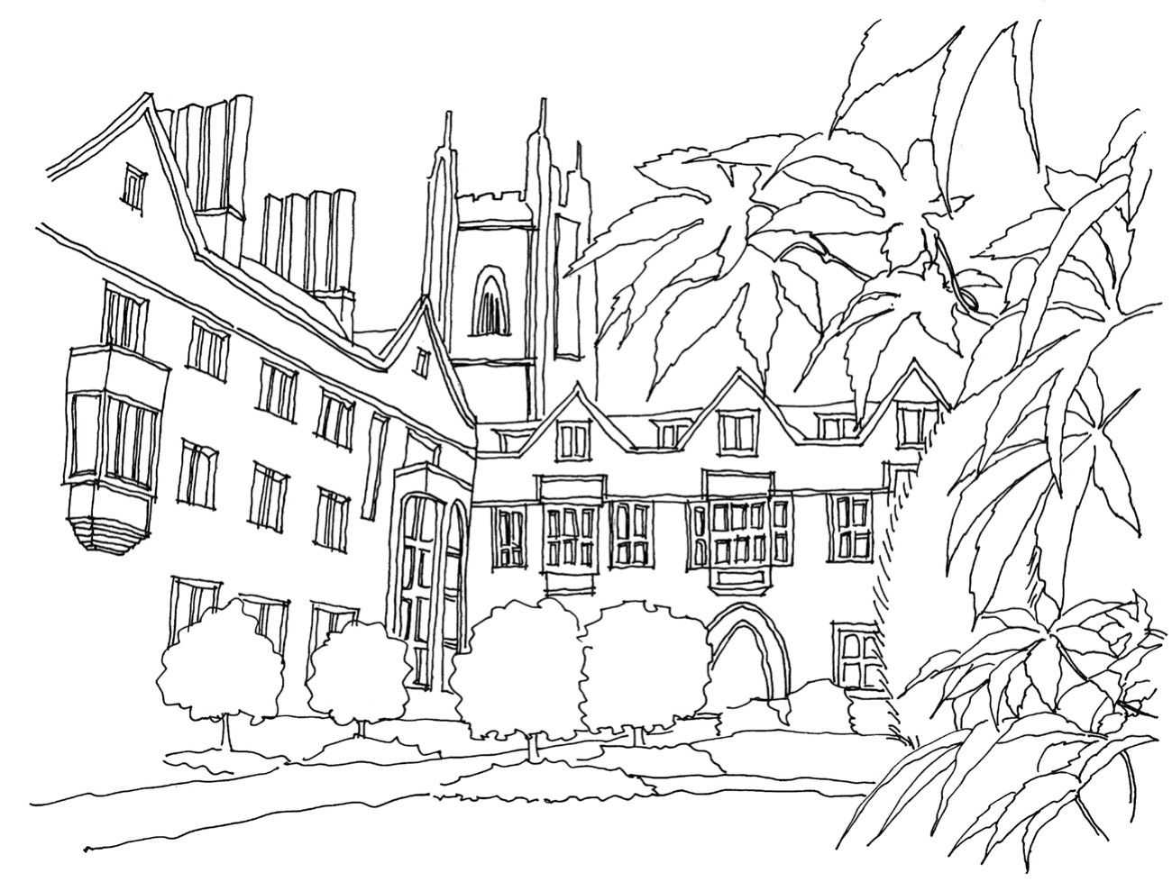 继续刻画配景植物的细节,注意植物特征的表现.