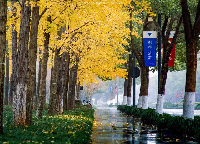 重磅干货，考生和家长必备！浙江大学2019年各地区招生咨询联系方式公布！