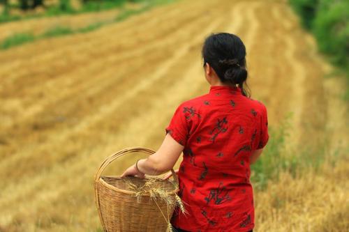 《捡麦穗》：情深“忘年交”险被误解？背后是对至美人性的讴歌
