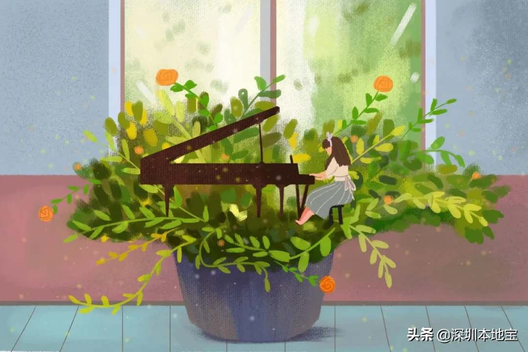 名额有限，报满即止！龙华又有公益培训来啦！大人小孩都能报