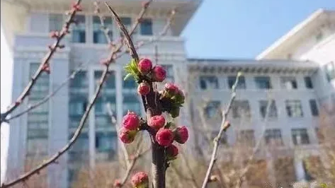 这是一所有实力、有未来的校园