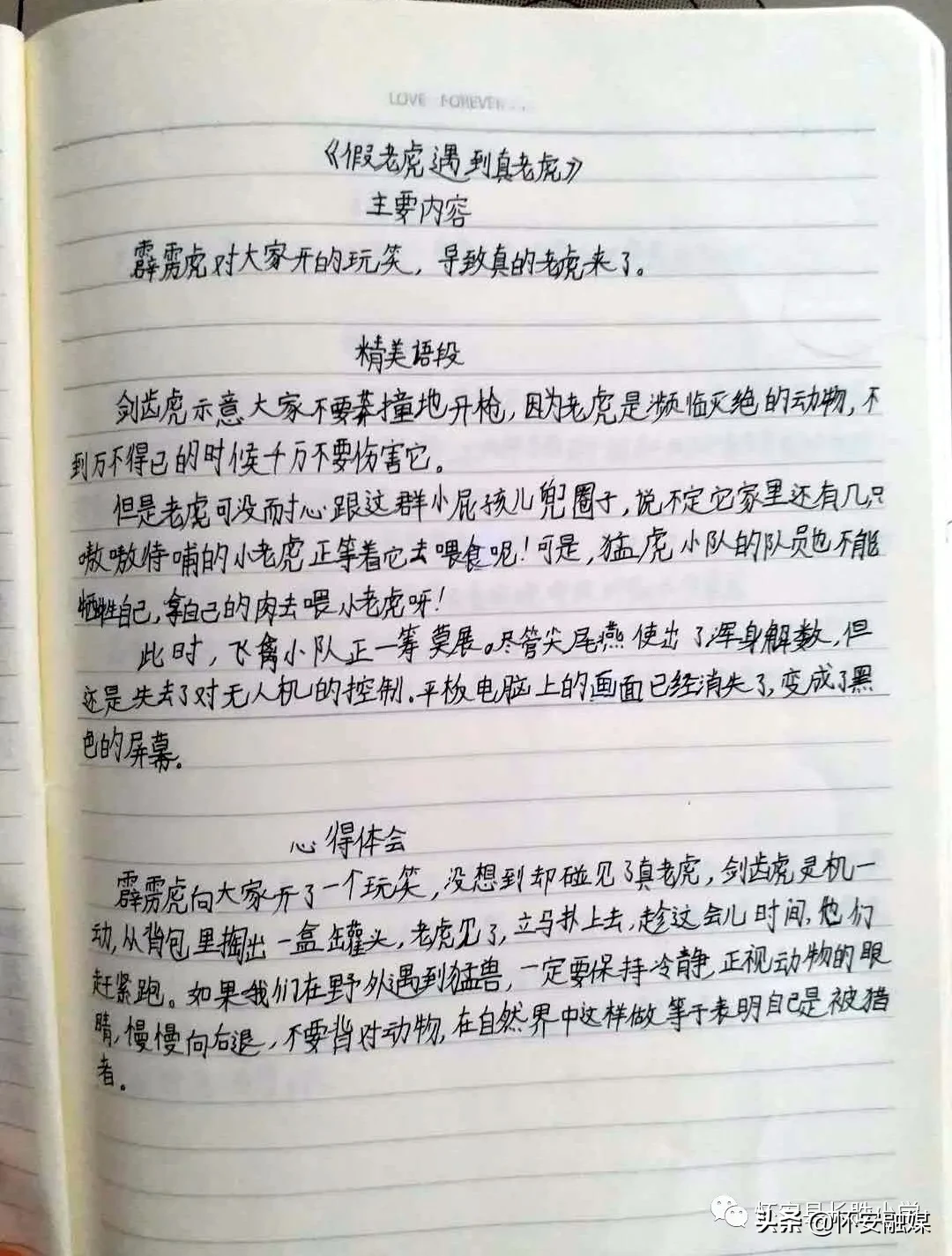 怀安县柴沟堡镇长胜小学网上秀学生假期作业