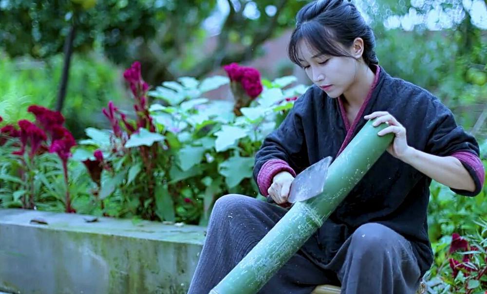 "田园一姐"李子柒:从农村小妹到千万网红,揭秘李子柒爆红之路