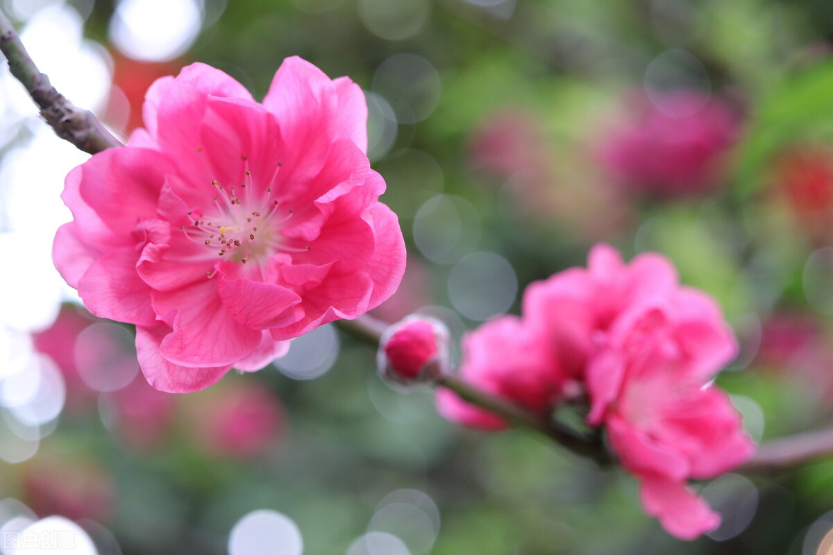 亲爱的某人，爱你，至死不渝，你注定是我一生的痴迷