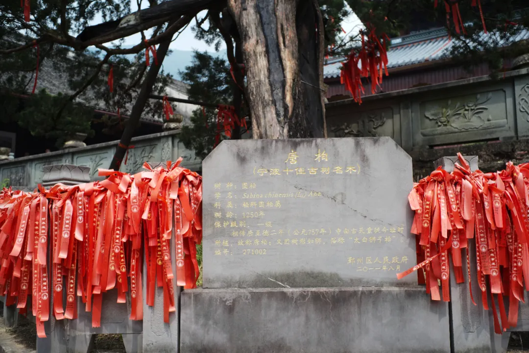 别再说什么小京都了,宁波这些寺庙来打脸了