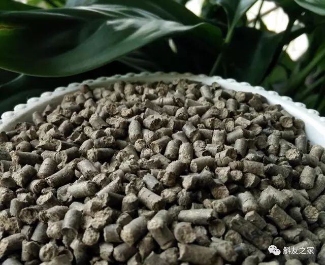 种石斛兰的植料，原来这样配比种一盆活一盆…