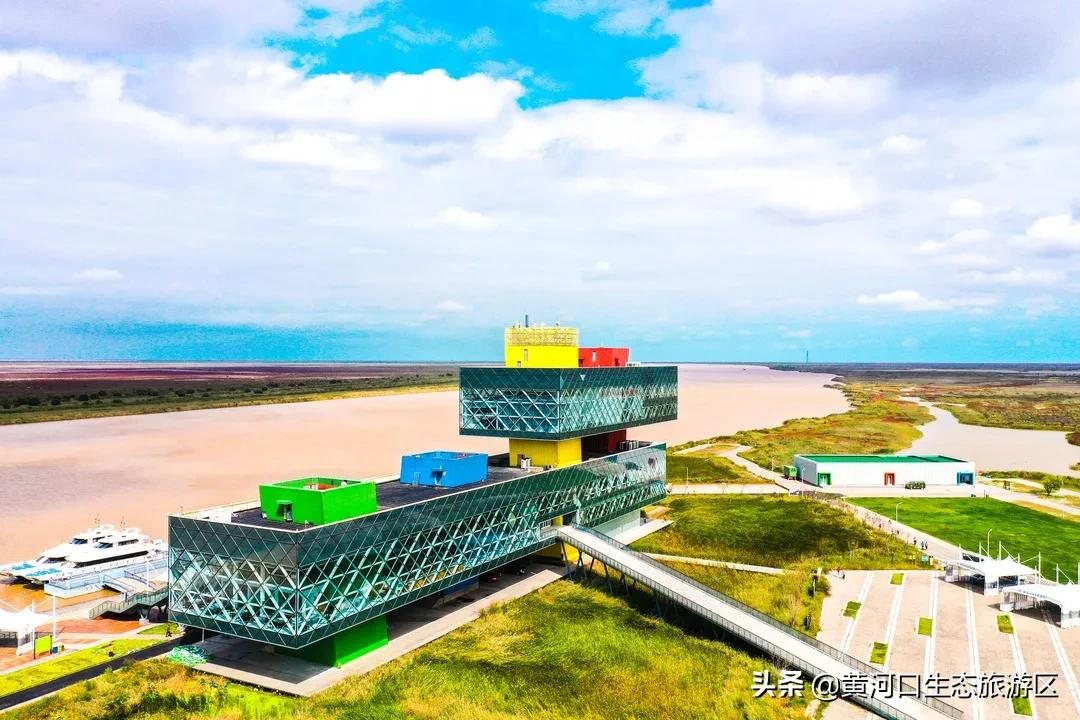 【黄河口生态旅游区】冬日暖阳 静享时光