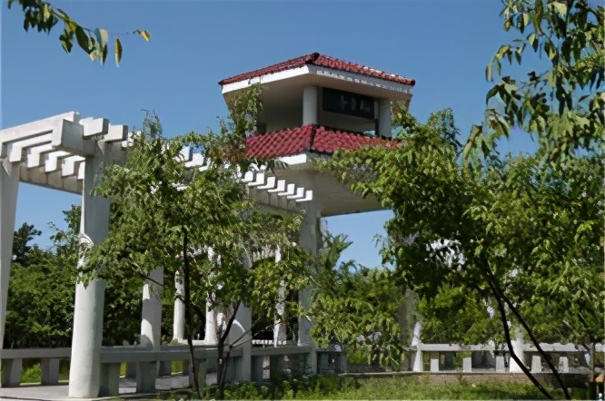 考研调剂！这些大学调剂信息也已经公布，涵盖学科教学等多种学科