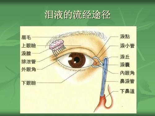 带你深度解析干眼症，有哪些方法能最有效的治疗干眼症？