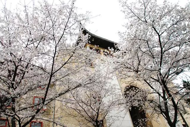 人类历史十大瘟疫：那些至暗时刻带给我们的启示