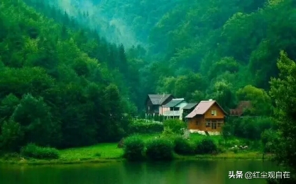 “蛩”字读音解析：郦波带你读懂古诗词中的秋虫鸣