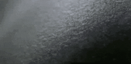 人体最大的器官是什么你知道吗？它对人的重要性你可能没有意识到