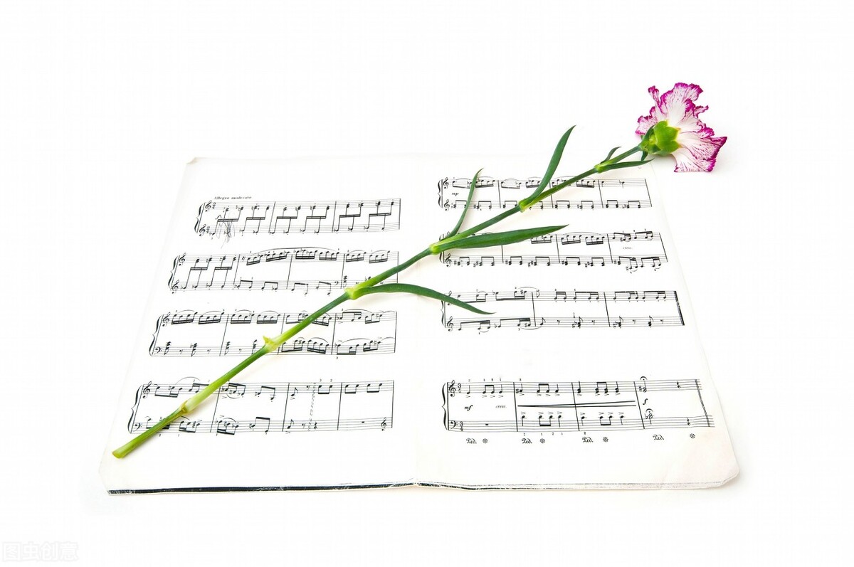 专升本大学语文-作文怎么写