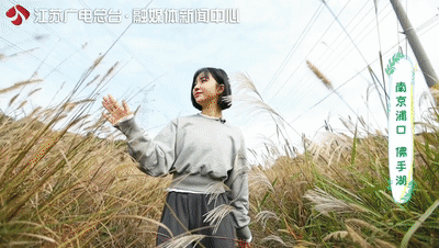 美了1500年，这里的古银杏即将迎来颜值巅峰