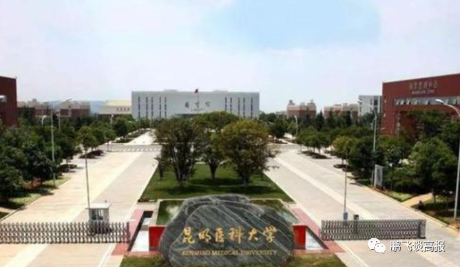 D78：云南省第一集团高校介绍，云大、昆明理工领衔