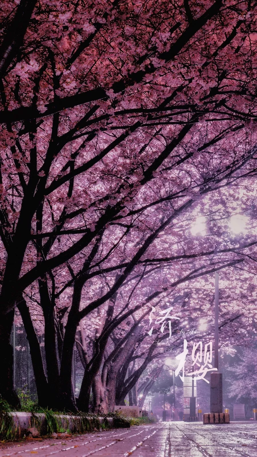 中国这10所大学壁纸第二期！厦门大学、中山大学等在列