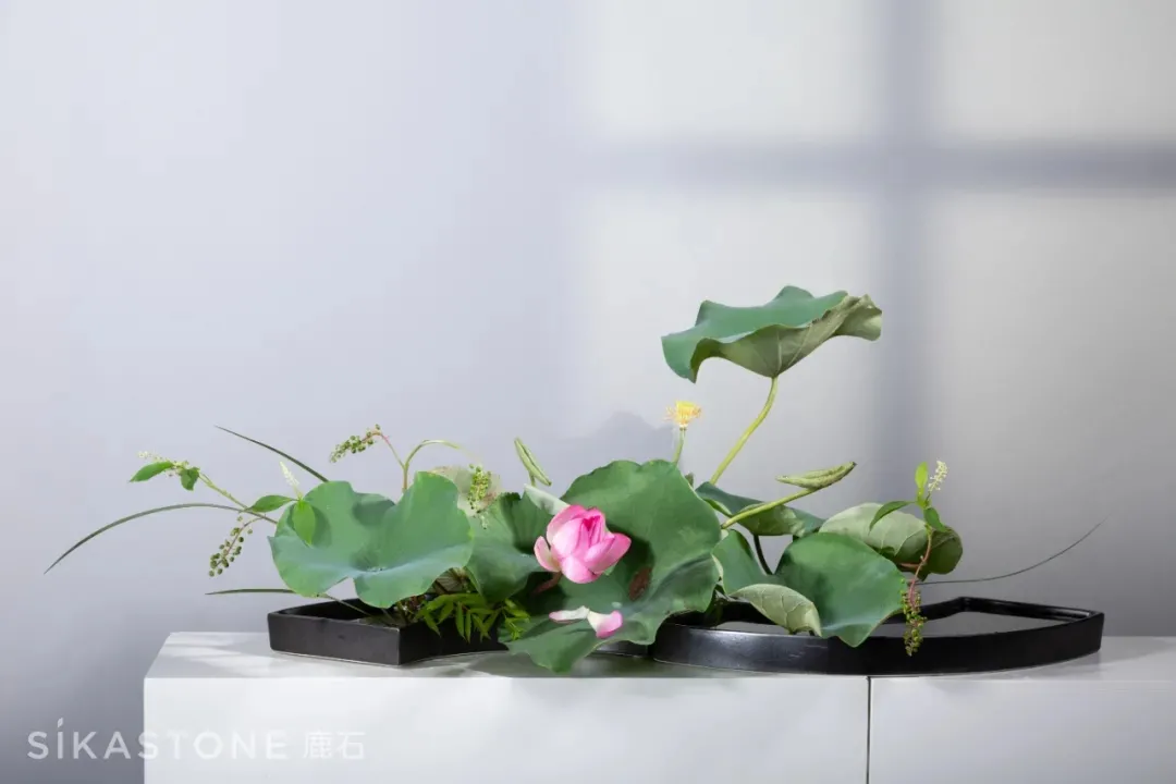 花道圈的人人宠,这些作品真是绝了